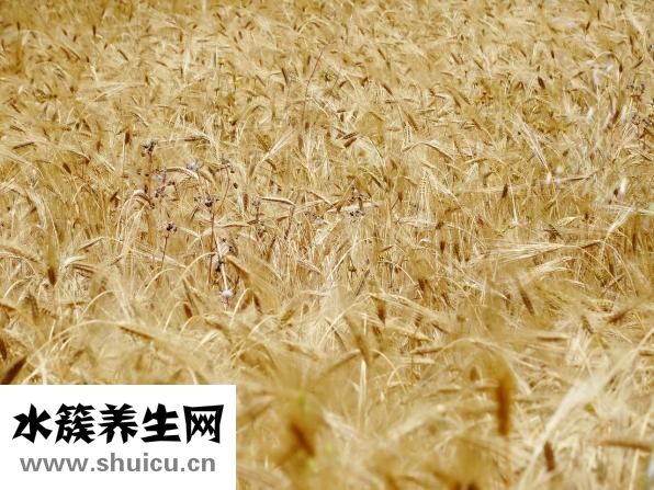 怎么變大變粗
