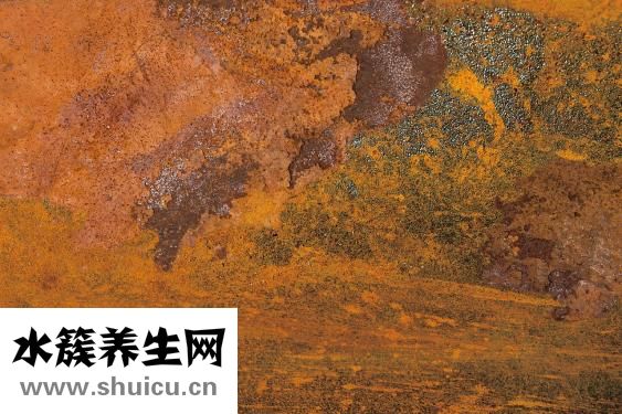 疫苗的種類