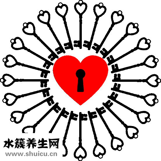 牙齒的結構圖