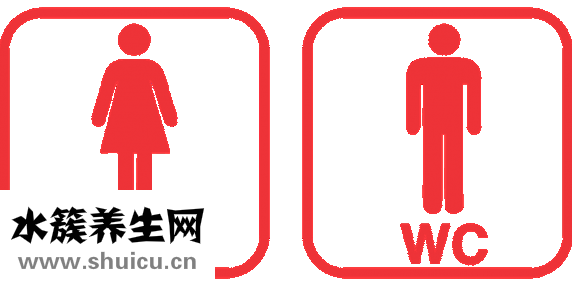 懷孕能吃蒜嗎