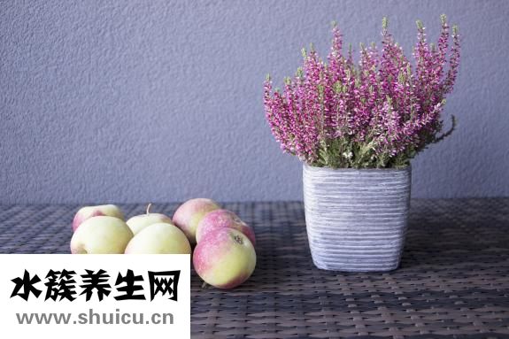 特別容易餓