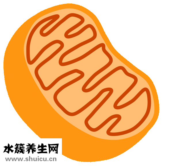 水平儀怎么校準