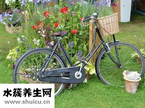 空中蹬自行車