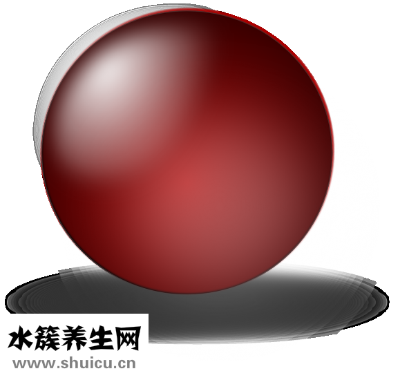 魚療是什么魚