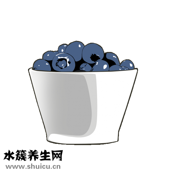 圓白菜炒餅