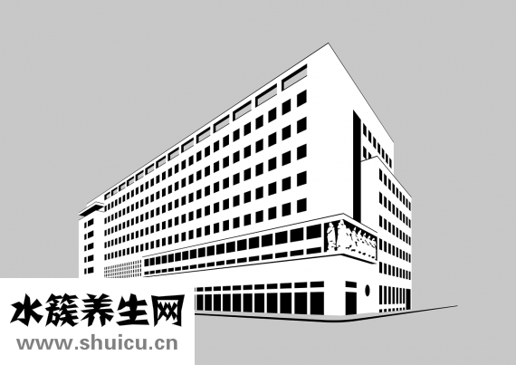 牙齒的結構圖
