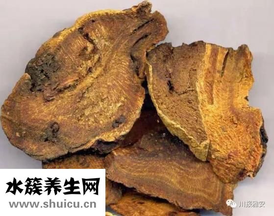 通便的中藥
