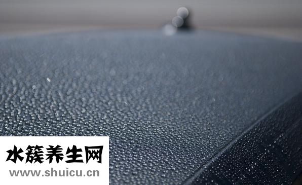 魚療是什么魚