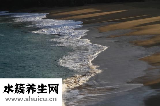 胸口悶怎么辦