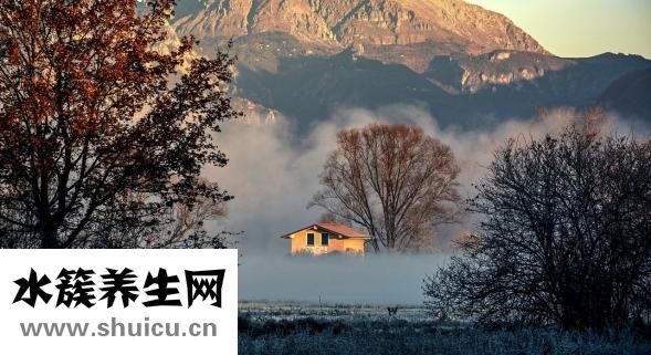 溴丙胺太林
