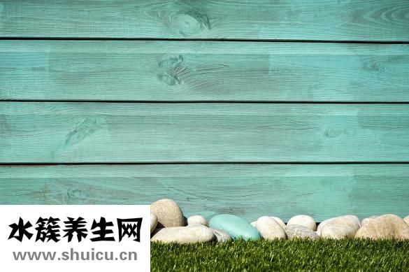 櫻花樹結櫻桃嗎
