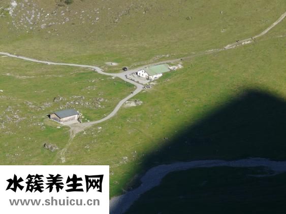 鹽酸地爾硫卓片