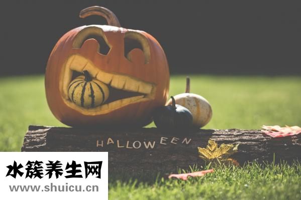 燕窩燉多久