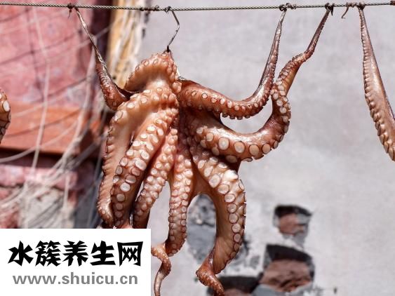 鐵板魷魚須