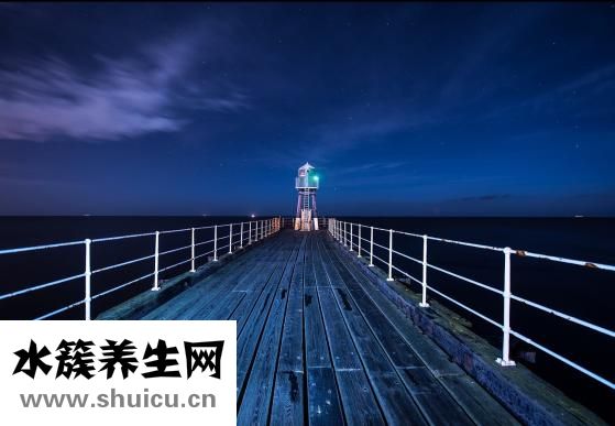腎不好吃什么