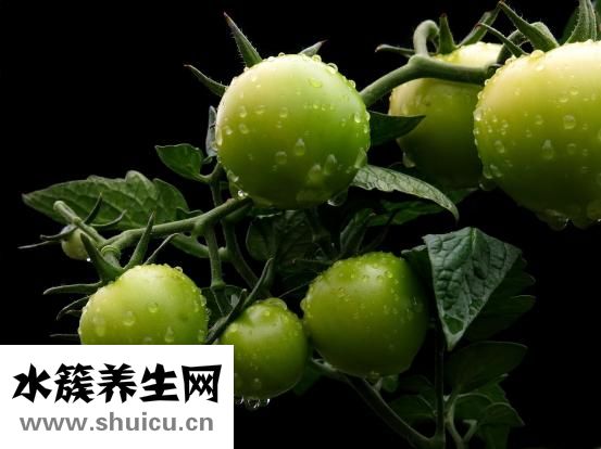 生菜能生吃嗎