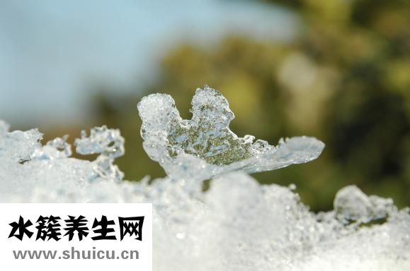 附近的老女人