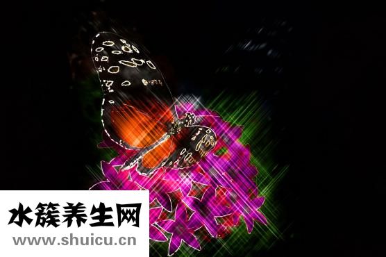 牙齒美白儀