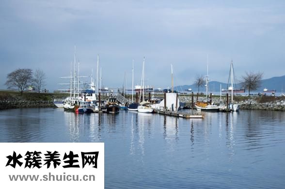 楮實子的別名