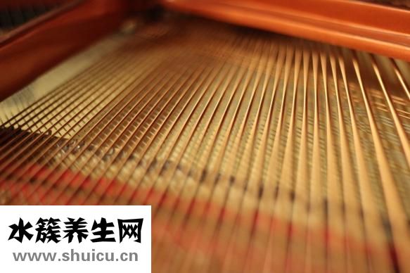 牙齒美白儀