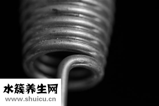 魚膠是什么