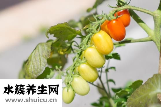 胃疼喝什么