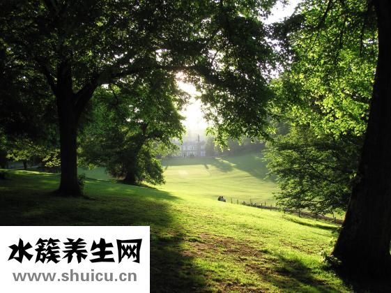 源義姜是什么