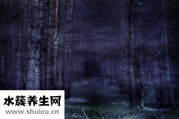 血友病遺傳