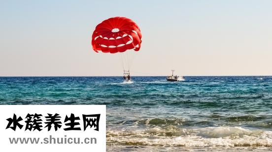 運動有哪些