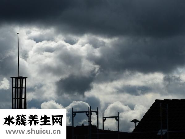 突觸后抑制