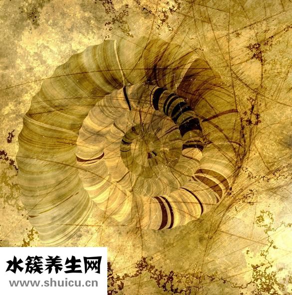 法令紋很深