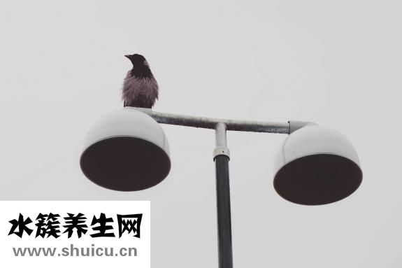 燙發需要多長時間