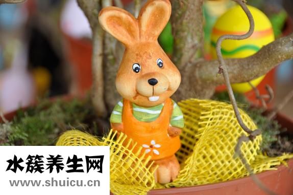 眼袋抽脂術