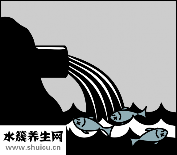 藍莓能放多久