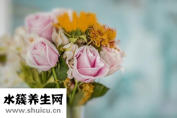 金雞婦科凝膠