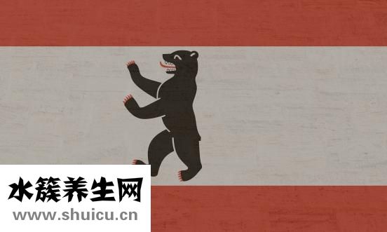 胎記治療費用