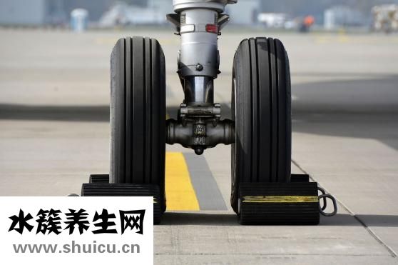 楊桃怎么催熟