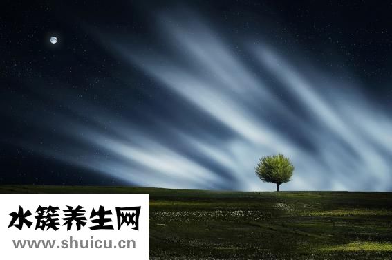 科學睡眠時間