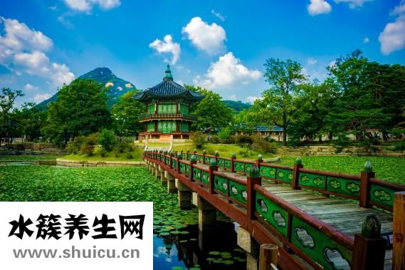 韓國小氣泡