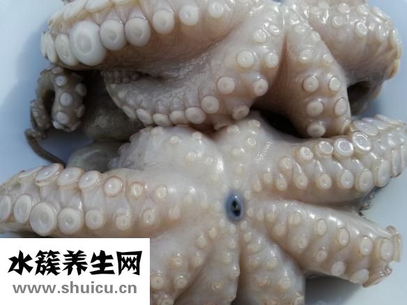 牙齒碎了一塊