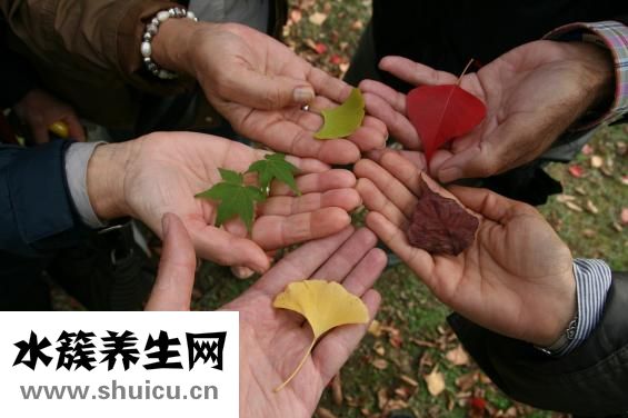 秋季減肥計劃