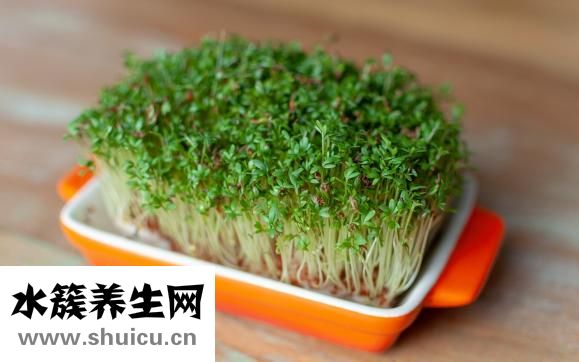 脾功能亢進