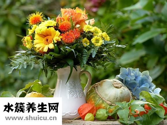 蛤蜊冬瓜湯