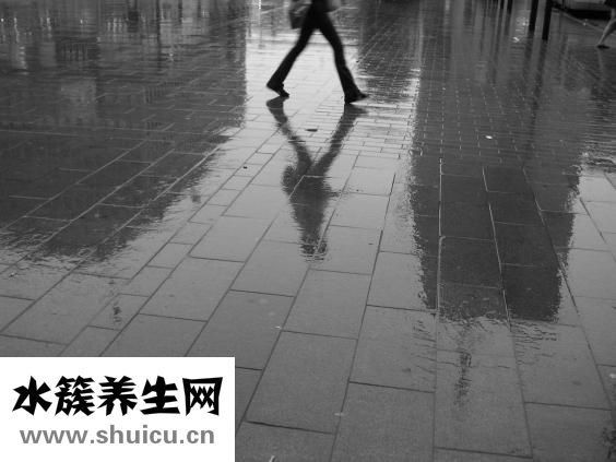 藍莓能放多久