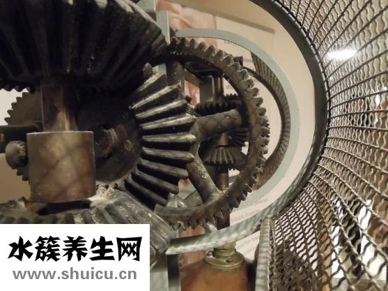 脂肪纖維瘤