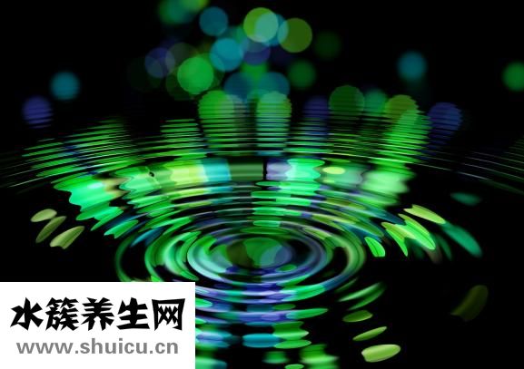 混合糖電解質
