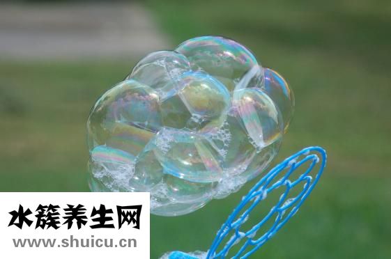 韓國小氣泡
