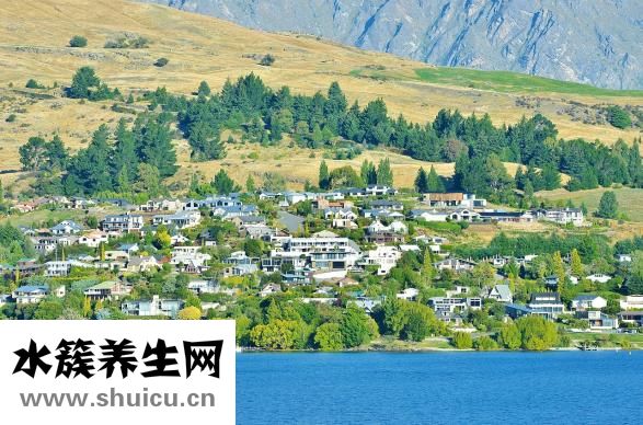 深蹲能減肥