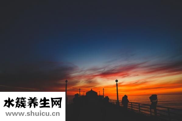 怎樣生雙胞胎