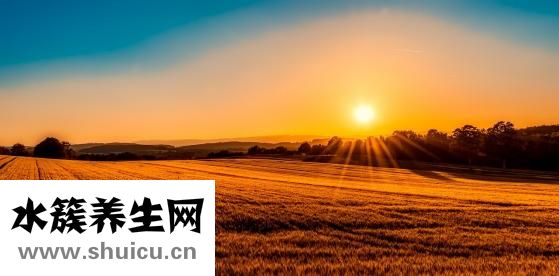西瓜上火嗎